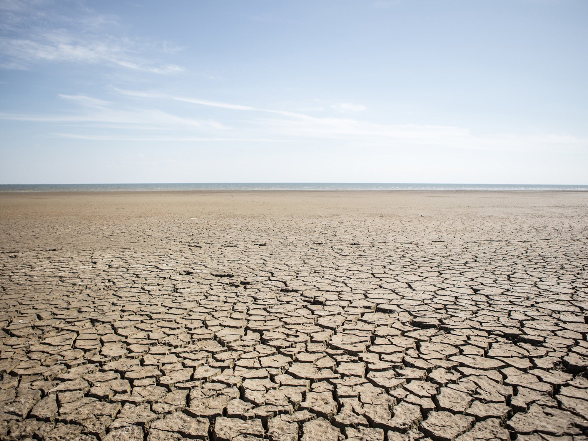 Recuerda la expresión «water grabbing»