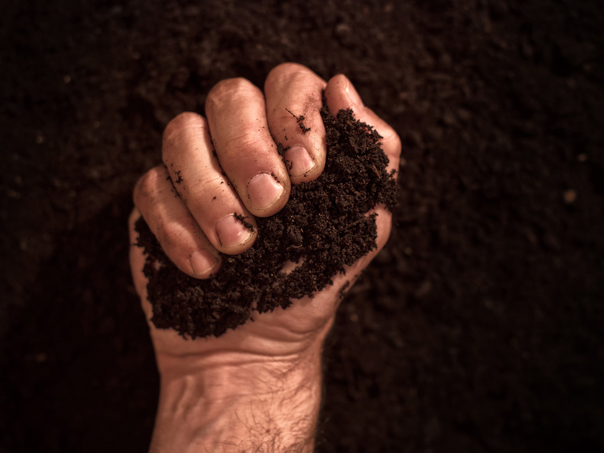 Hay hambre de saber sobre el «land grabbing» o acaparamiento de tierras